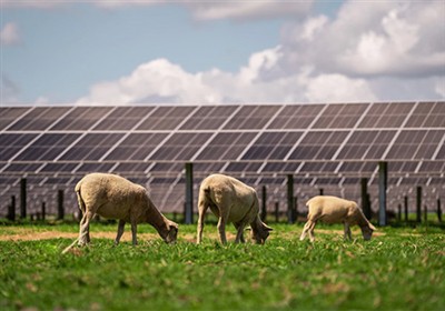 Powering The Future: Five Solar Energy Trends to Watch το 2025